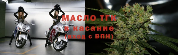 сатива Аркадак
