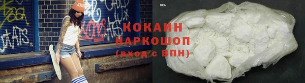 сатива Аркадак