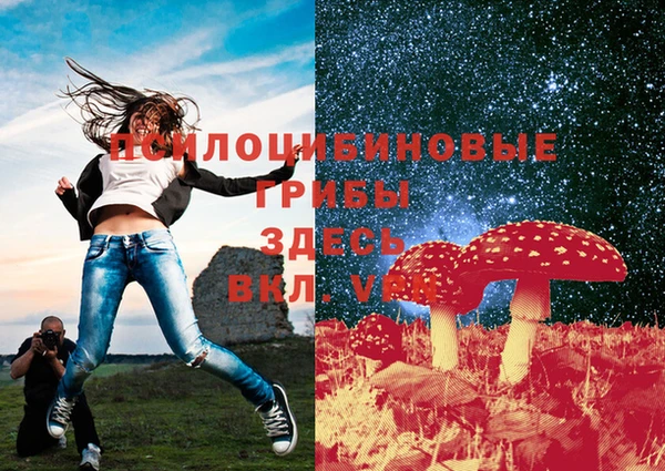 2c-b Арсеньев