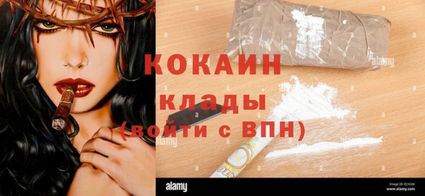 сатива Аркадак
