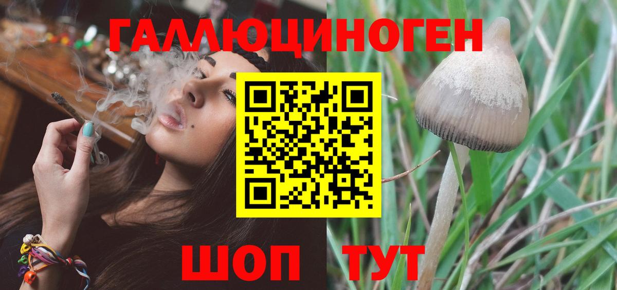 магазин    Псилоцибиновые грибы Magic Shrooms  Вход с VPN  Черкесск  Галлюциногенные грибы мицелий 